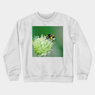 Bee Flower Nectar Crewneck Sweatshirt